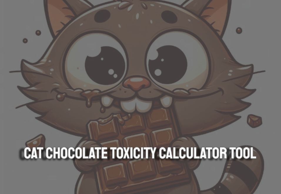 Cat Chocolate Toxicity Calculator Tool