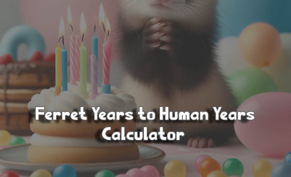 Ferret Years to Human Years Calculator Tool