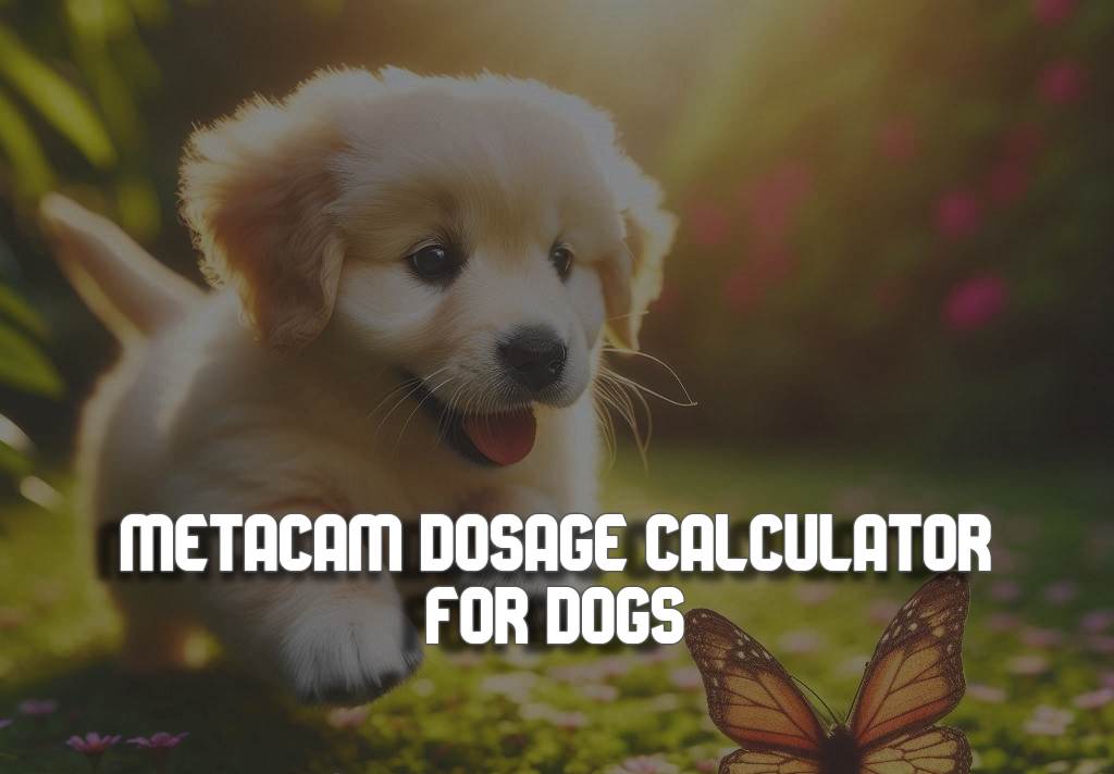 Metacam Dosage Calculator for Dogs Tool